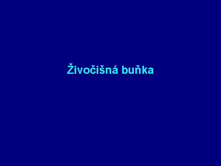  Živočišná buňka 