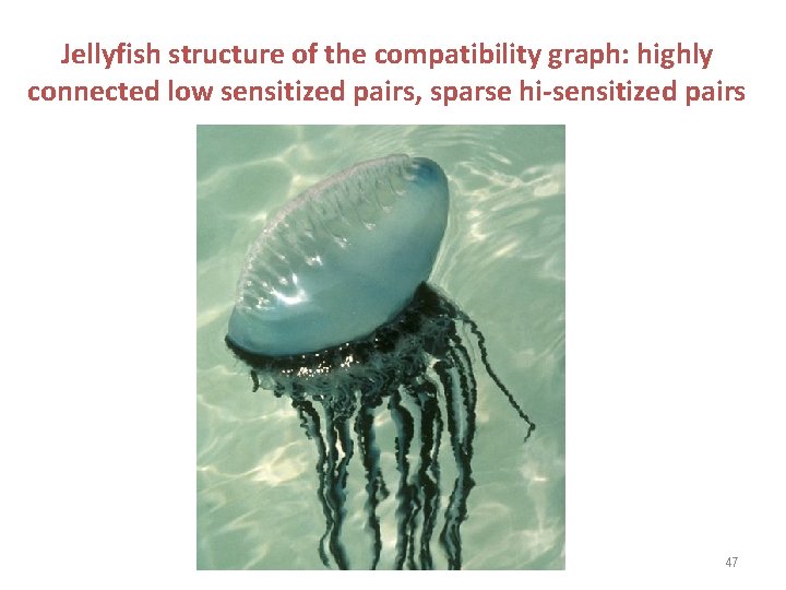 Jellyfish structure of the compatibility graph: highly connected low sensitized pairs, sparse hi-sensitized pairs