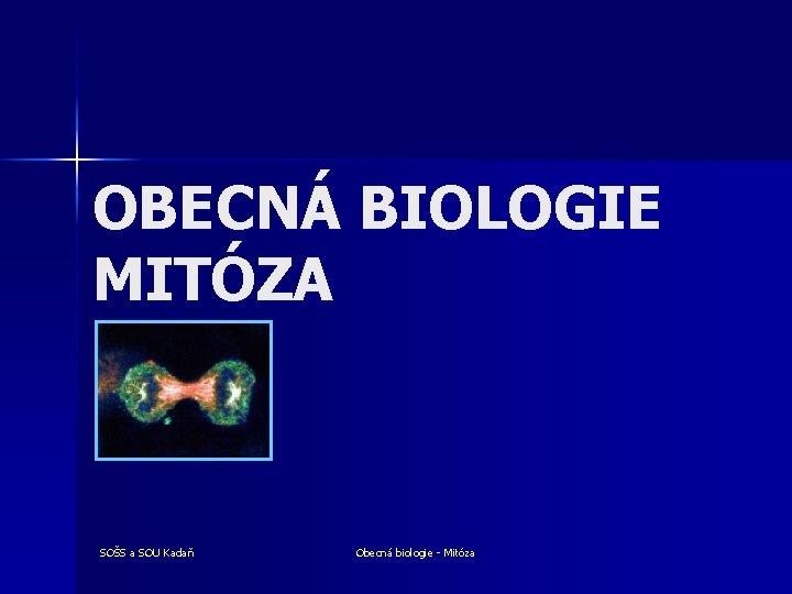 OBECNÁ BIOLOGIE MITÓZA SOŠS a SOU Kadaň Obecná biologie - Mitóza 