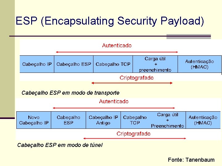 ESP (Encapsulating Security Payload) Cabeçalho ESP em modo de transporte Cabeçalho ESP em modo