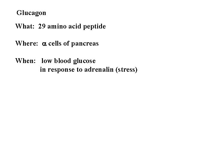 Glucagon What: 29 amino acid peptide Where: a cells of pancreas When: low blood