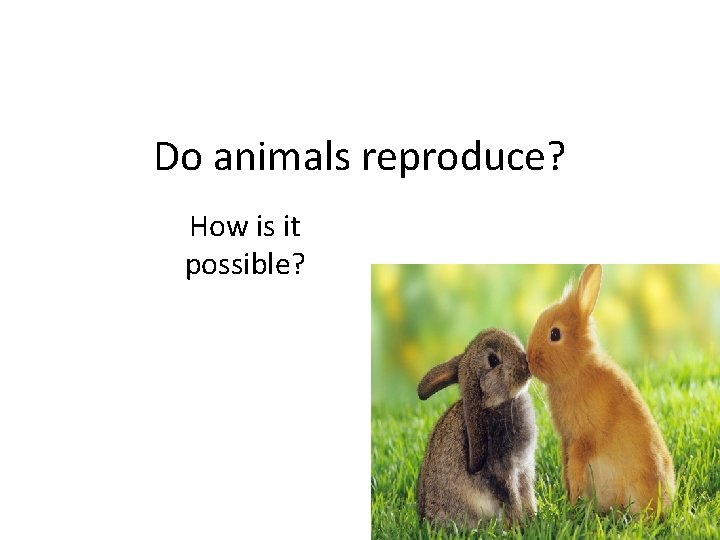 Do animals reproduce? How is it possible? 