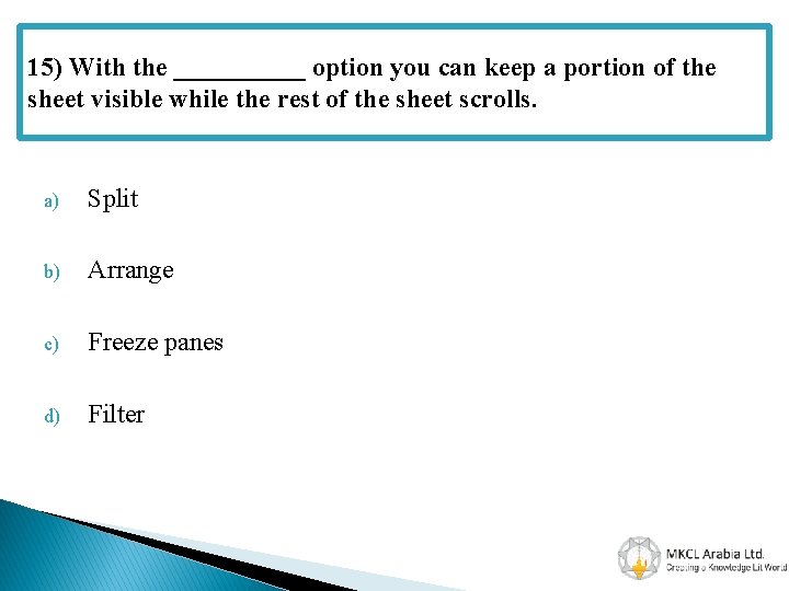 15) With the _____ option you can keep a portion of the sheet visible