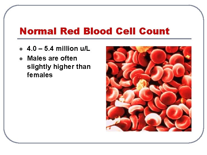 Normal Red Blood Cell Count l l 4. 0 – 5. 4 million u/L