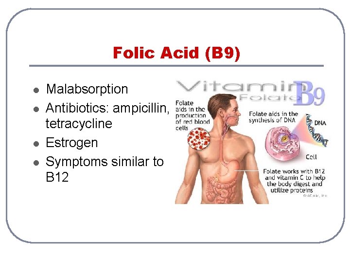 Folic Acid (B 9) l l Malabsorption Antibiotics: ampicillin, tetracycline Estrogen Symptoms similar to