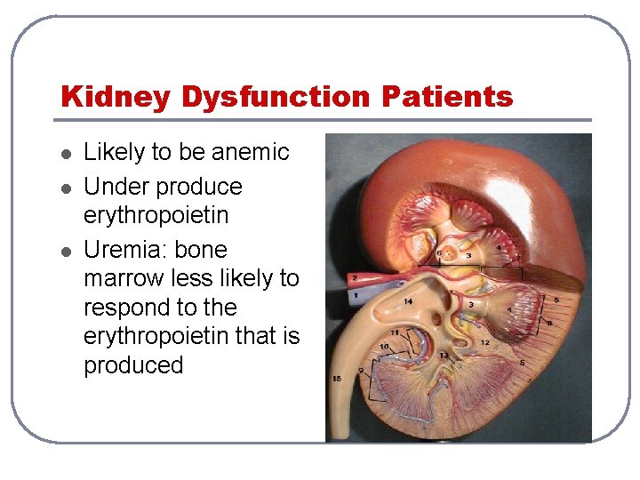 Kidney Dysfunction Patients l l l Likely to be anemic Under produce erythropoietin Uremia: