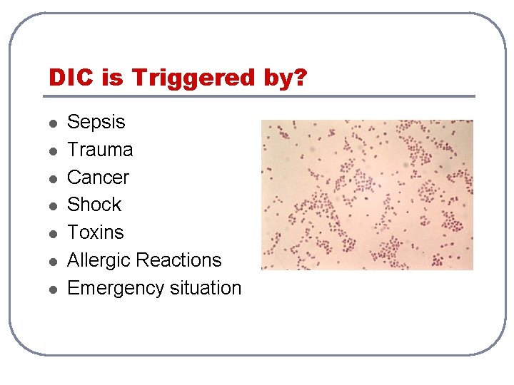 DIC is Triggered by? l l l l Sepsis Trauma Cancer Shock Toxins Allergic