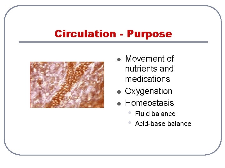 Circulation - Purpose l l l Movement of nutrients and medications Oxygenation Homeostasis •