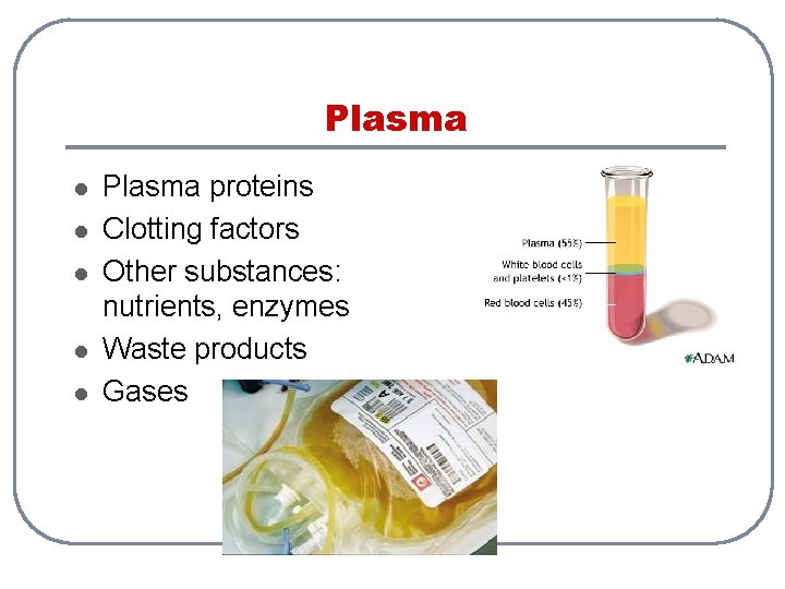 Plasma l l l Plasma proteins Clotting factors Other substances: nutrients, enzymes Waste products