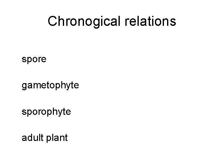 Chronogical relations spore gametophyte sporophyte adult plant 