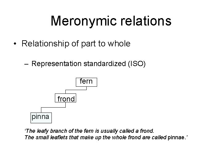 Meronymic relations • Relationship of part to whole – Representation standardized (ISO) fern frond