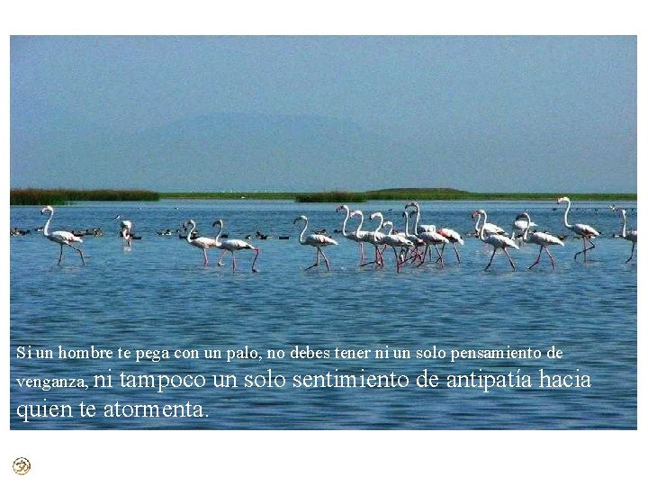 Si un hombre te pega con un palo, no debes tener ni un solo Si un hombre te pega con un palo, no debes tener ni un solo