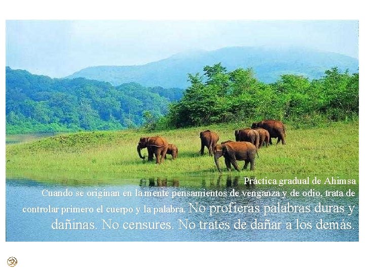 Práctica gradual de Ahimsa Cuando se originan en la mente pensamientos de venganza y Práctica gradual de Ahimsa Cuando se originan en la mente pensamientos de venganza y