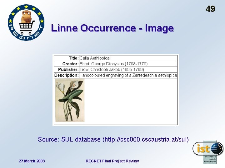 49 Linne Occurrence - Image Source: SUL database (http: //csc 000. cscaustria. at/sul) 27