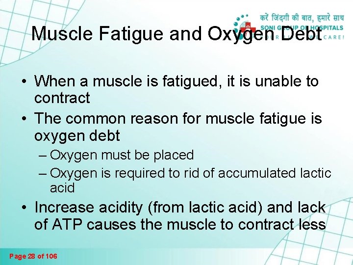 The Muscular System Muscles Are Responsible For All