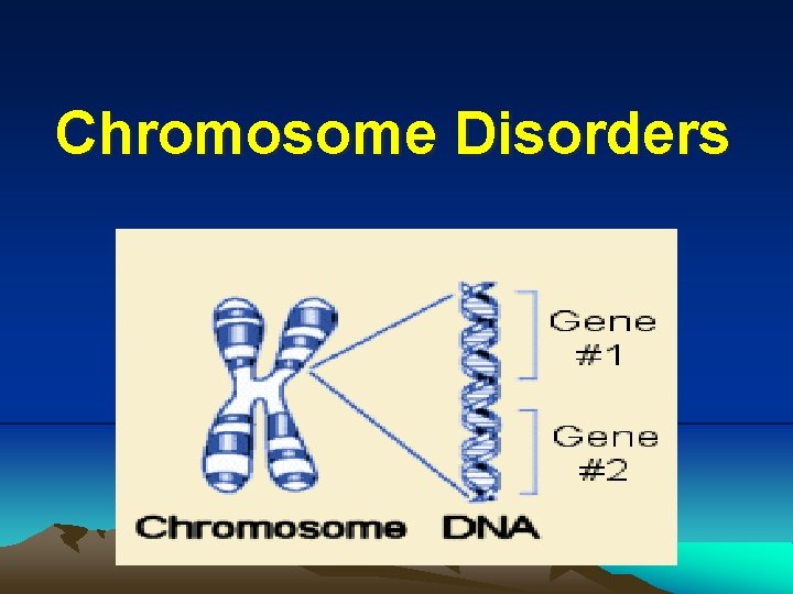 Chromosome Disorders 