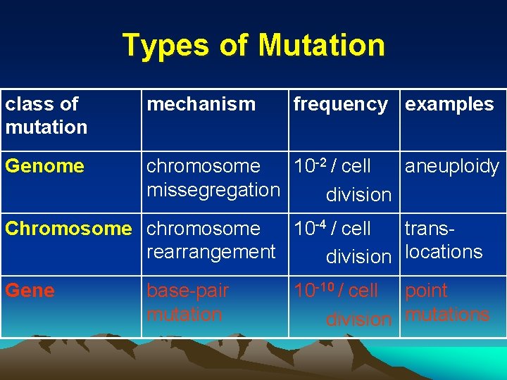 Types of Mutation class of mutation mechanism frequency examples Genome chromosome 10 -2 /