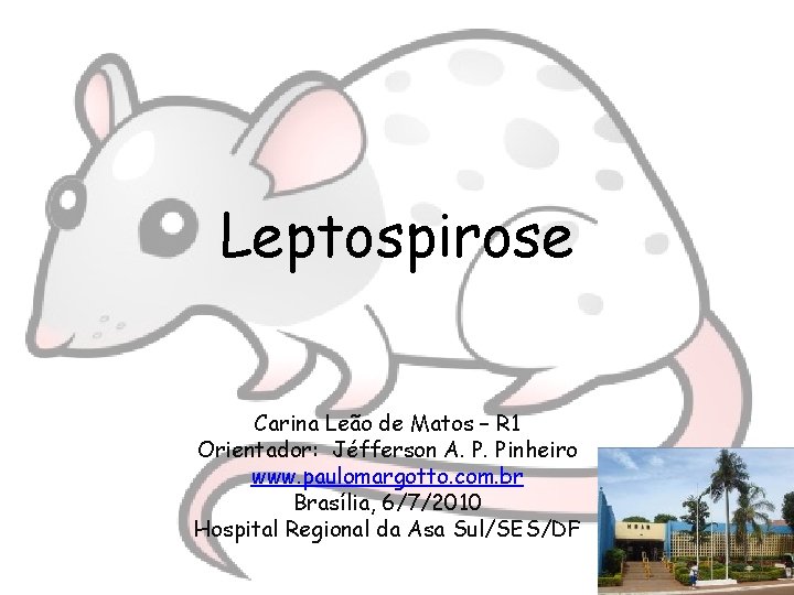 Leptospirose Carina Leão de Matos – R 1 Orientador: Jéfferson A. P. Pinheiro www.