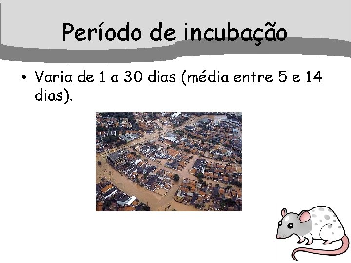 Período de incubação • Varia de 1 a 30 dias (média entre 5 e