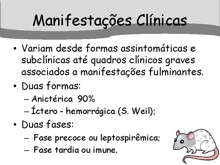 Manifestações Clínicas • Variam desde formas assintomáticas e subclínicas até quadros clínicos graves associados