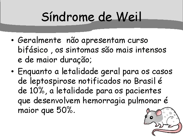 Síndrome de Weil • Geralmente não apresentam curso bifásico , os sintomas são mais