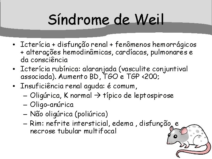 Síndrome de Weil • Icterícia + disfunção renal + fenômenos hemorrágicos + alterações hemodinâmicas,