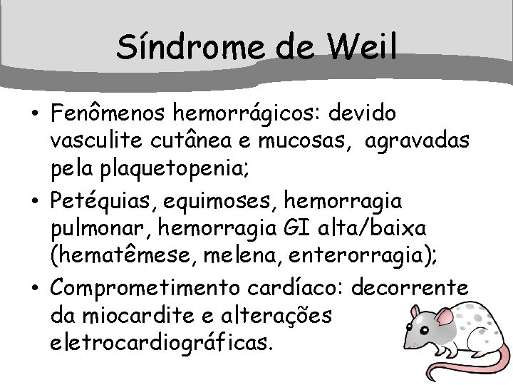 Síndrome de Weil • Fenômenos hemorrágicos: devido vasculite cutânea e mucosas, agravadas pela plaquetopenia;