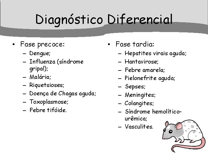 Diagnóstico Diferencial • Fase precoce: – Dengue; – Influenza (síndrome gripal); – Malária; –