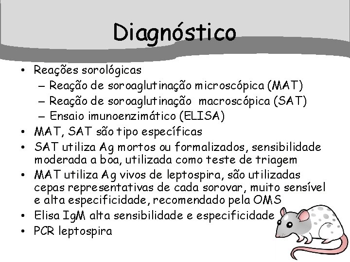 Diagnóstico • Reações sorológicas – Reação de soroaglutinação microscópica (MAT) – Reação de soroaglutinação