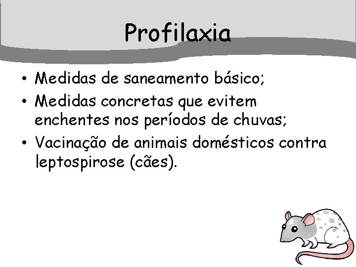 Profilaxia • Medidas de saneamento básico; • Medidas concretas que evitem enchentes nos períodos