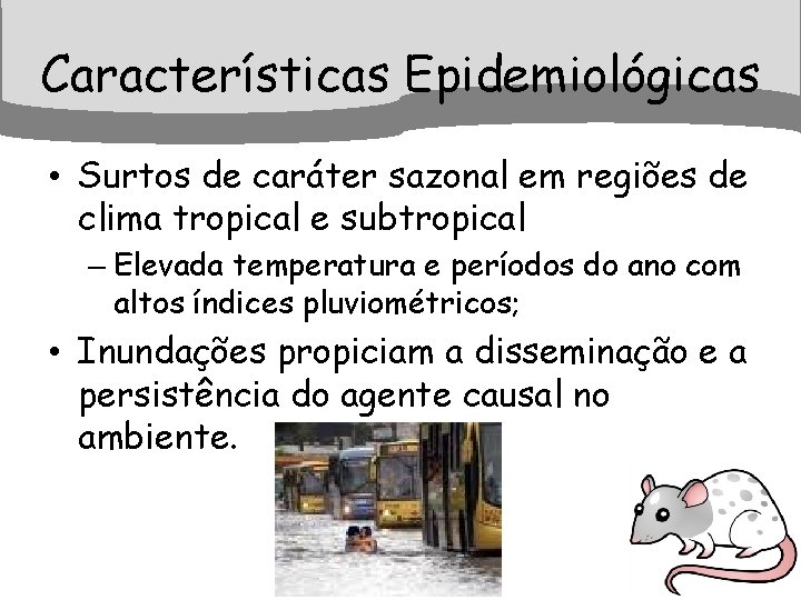Características Epidemiológicas • Surtos de caráter sazonal em regiões de clima tropical e subtropical