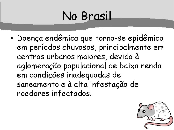 No Brasil • Doença endêmica que torna-se epidêmica em períodos chuvosos, principalmente em centros