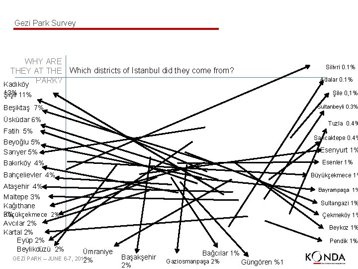 Gezi Park Survey WHY ARE THEY AT THE Which districts of Istanbul did they