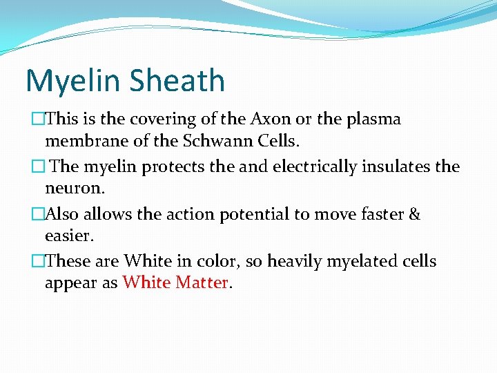 Myelin Sheath �This is the covering of the Axon or the plasma membrane of