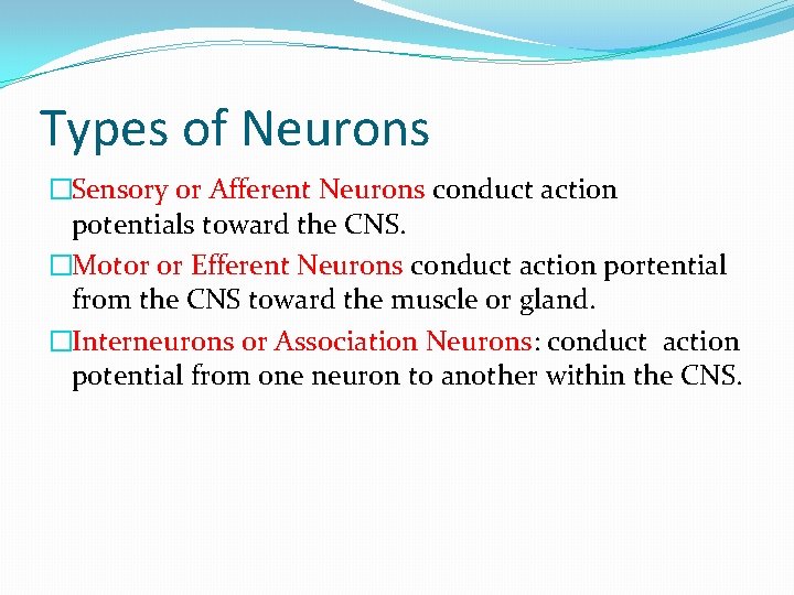 Types of Neurons �Sensory or Afferent Neurons conduct action potentials toward the CNS. �Motor