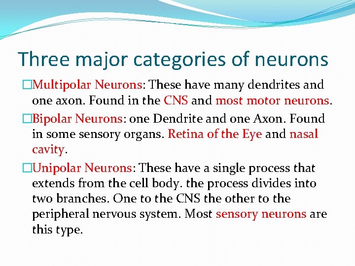 Three major categories of neurons �Multipolar Neurons: These have many dendrites and one axon.