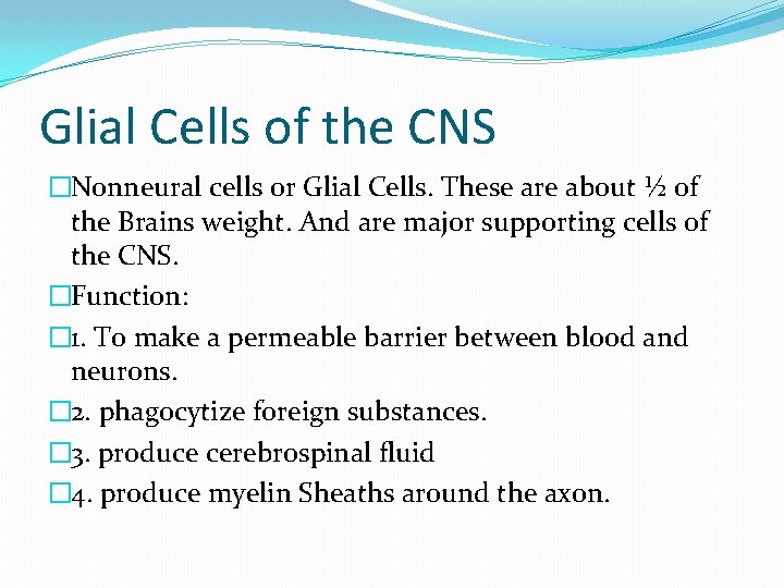 Glial Cells of the CNS �Nonneural cells or Glial Cells. These are about ½