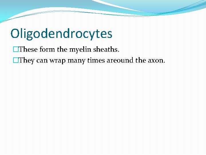 Oligodendrocytes �These form the myelin sheaths. �They can wrap many times areound the axon.