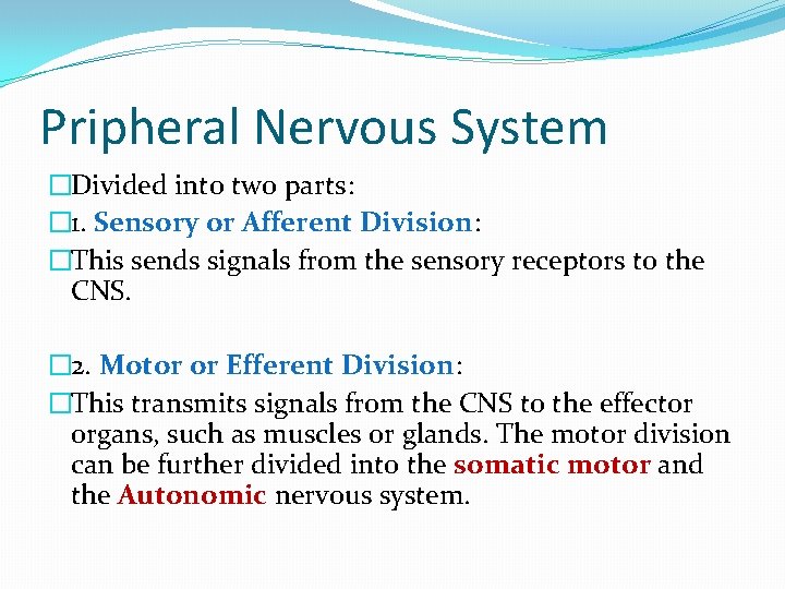 Pripheral Nervous System �Divided into two parts: � 1. Sensory or Afferent Division: �This