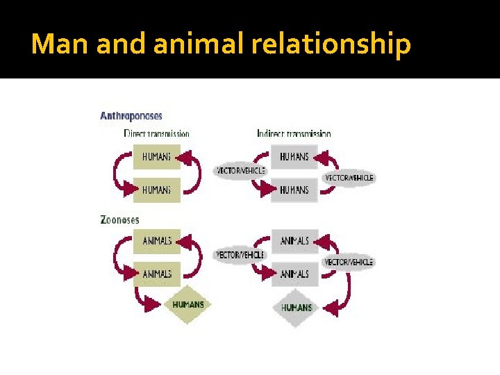 Man and animal relationship 