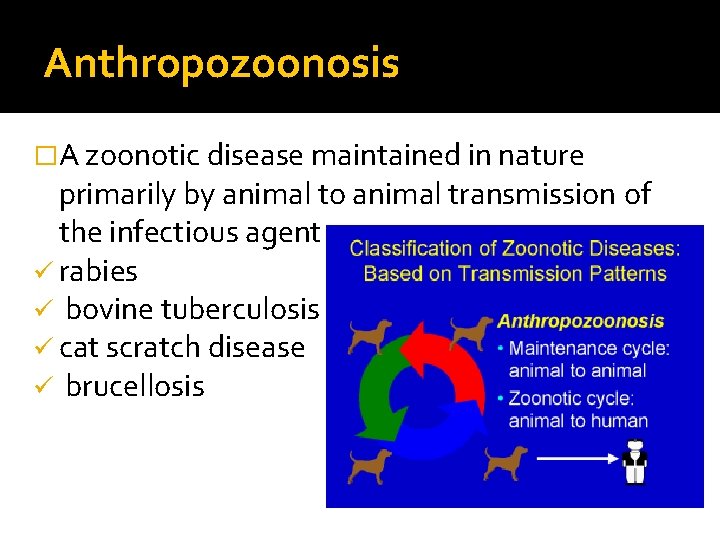 Anthropozoonosis �A zoonotic disease maintained in nature primarily by animal to animal transmission of Anthropozoonosis �A zoonotic disease maintained in nature primarily by animal to animal transmission of