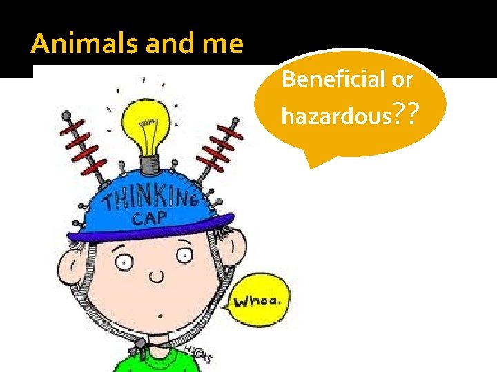 Animals and me Beneficial or hazardous? ? 