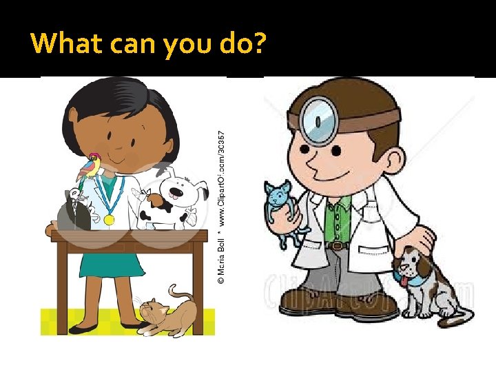 What can you do? What can you do?