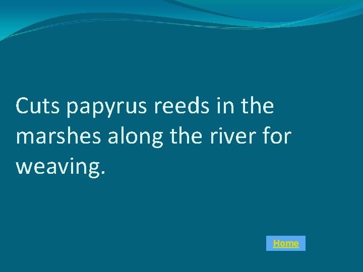 Cuts papyrus reeds in the marshes along the river for weaving. Home 