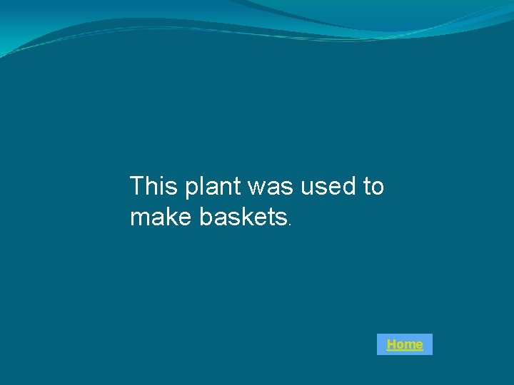 This plant was used to make baskets. Home 