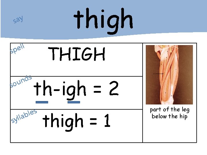 thigh say ll e p s s d n sou THIGH th-igh = 2