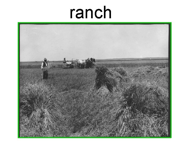 ranch 