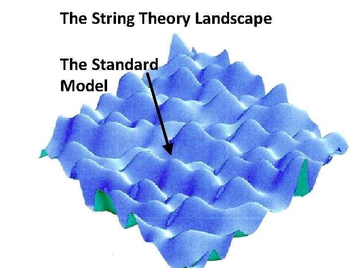 The String Theory Landscape The Standard Model 