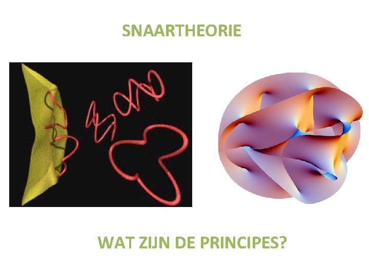 SNAARTHEORIE WAT ZIJN DE PRINCIPES? 
