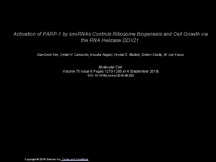 Activation of PARP-1 by sno. RNAs Controls Ribosome Biogenesis and Cell Growth via the